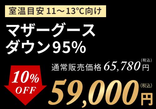 増量グース95%