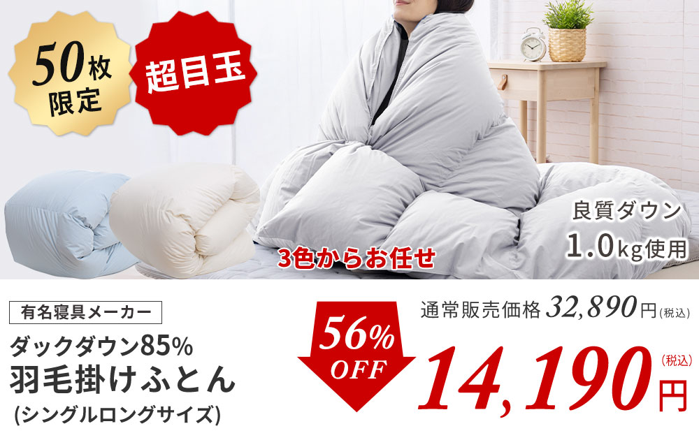 西川ダックダウン85％