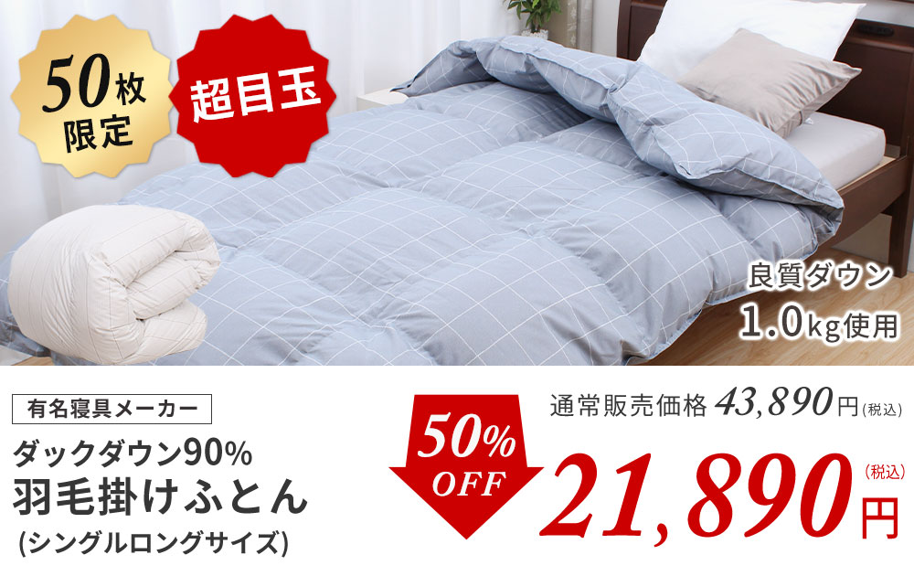 西川ダックダウン90％