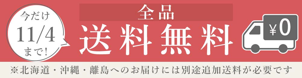 11月4日まで送料無料