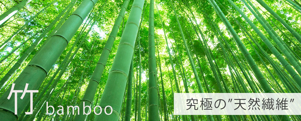 竹繊維イメージ