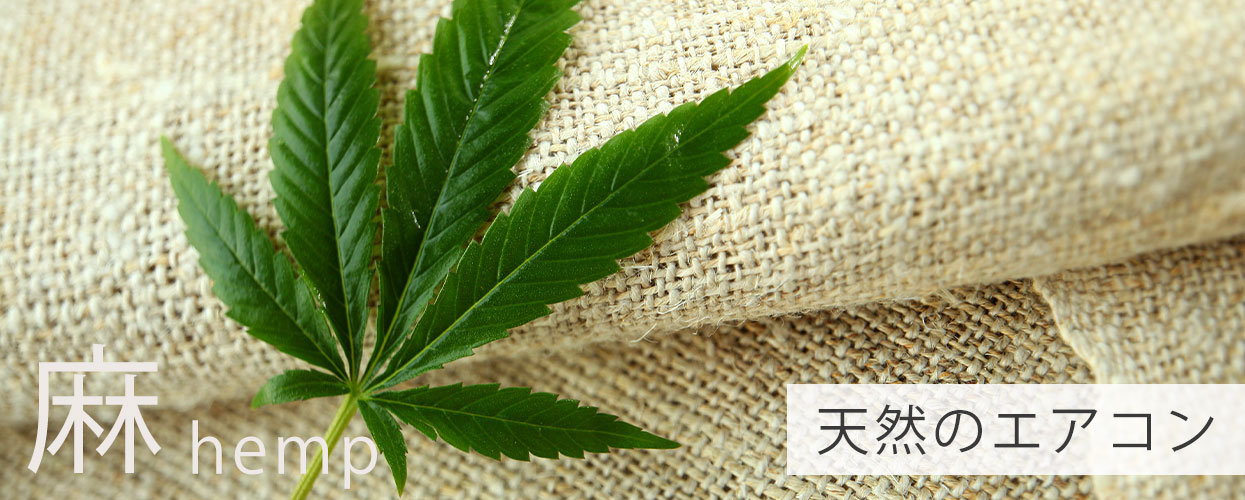 麻イメージ