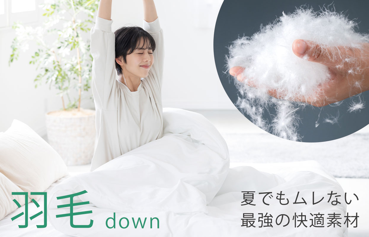 羽毛イメージ