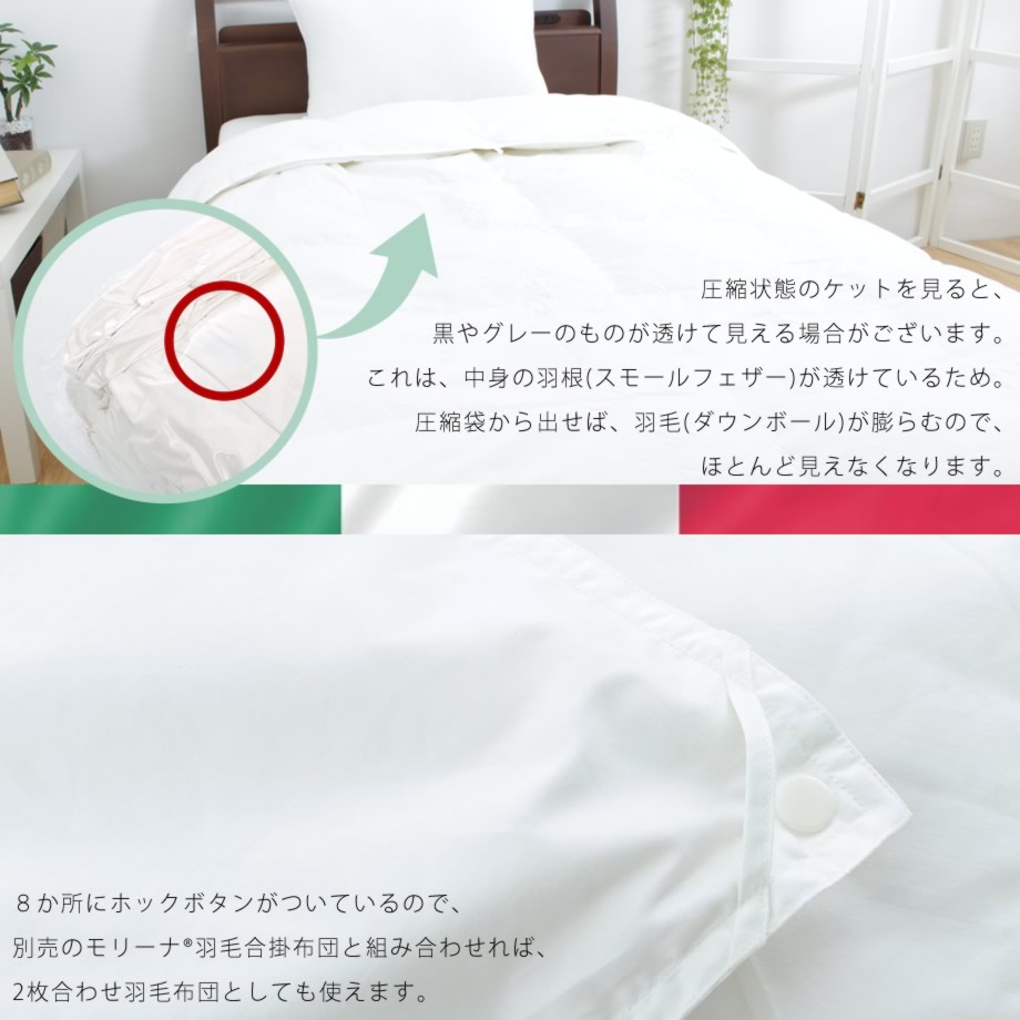 コストコ HOTEL GRAND ホワイトダウン羽毛布団、グイーンサイズ - 布団 ...