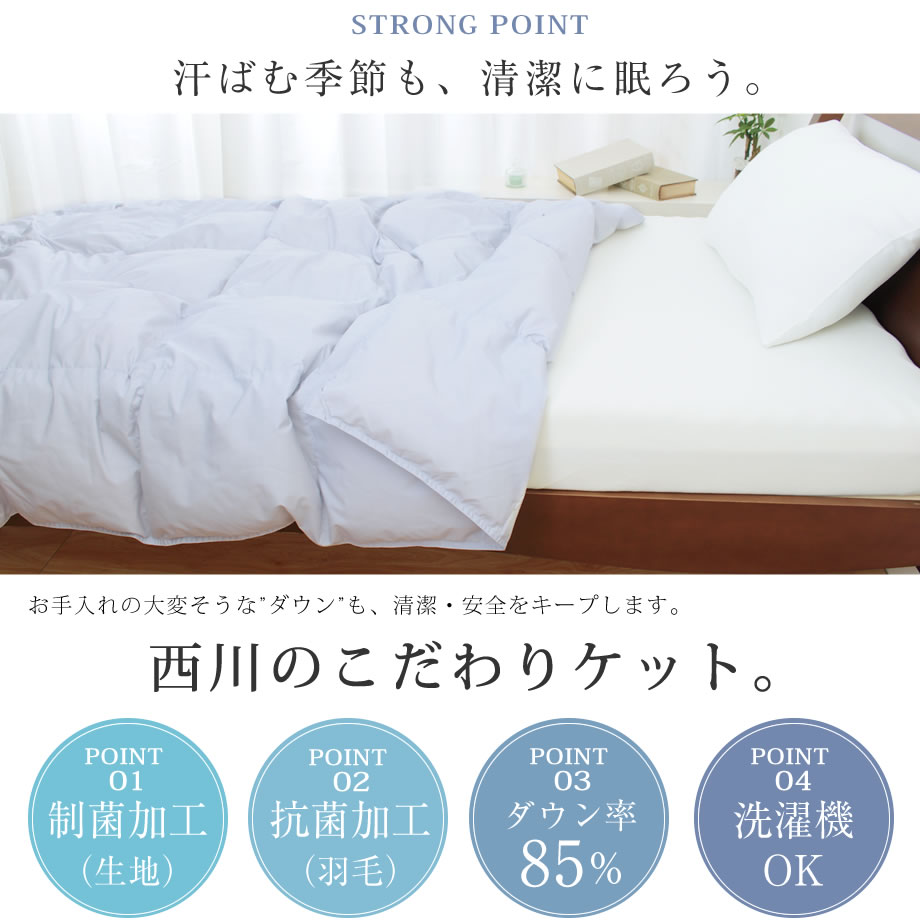 ダウンケット シングル ダック85％ 制菌加工 春夏 肌掛け【ギフト対応